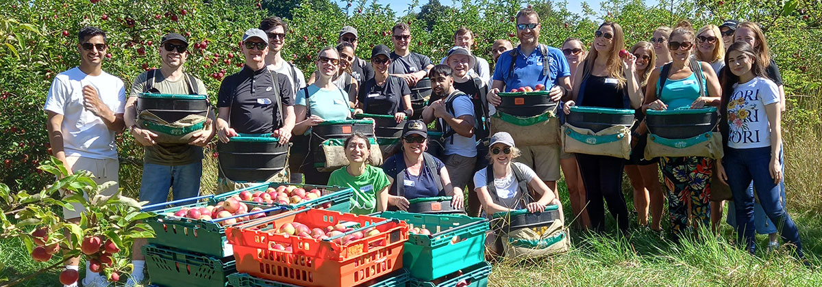 Image for Kent Farmer Donates Orchard For Free To London Charity
