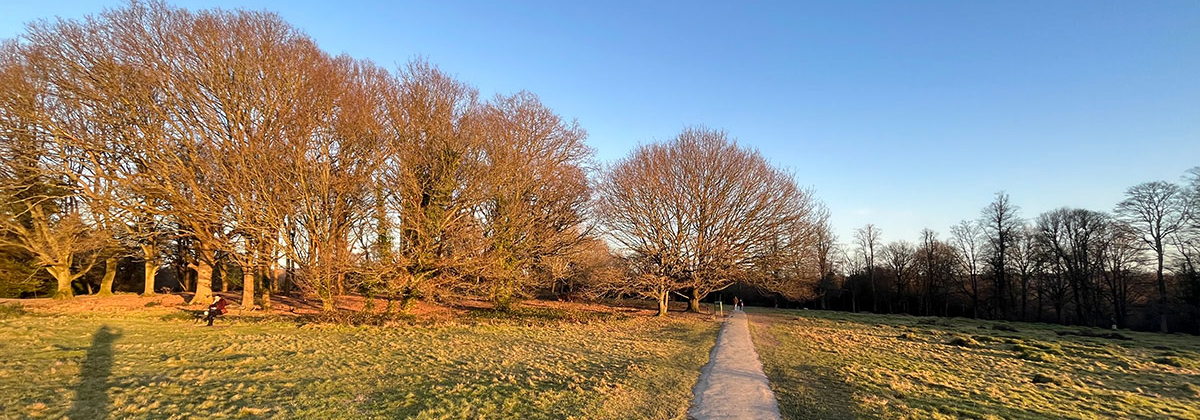 Image for Tunbridge Wells Groups Express Concern Over Possible Sale Of Commons 