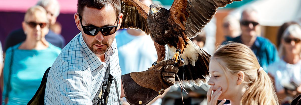 Image for Weald of Kent Country Craft Show Returns for 40th Show