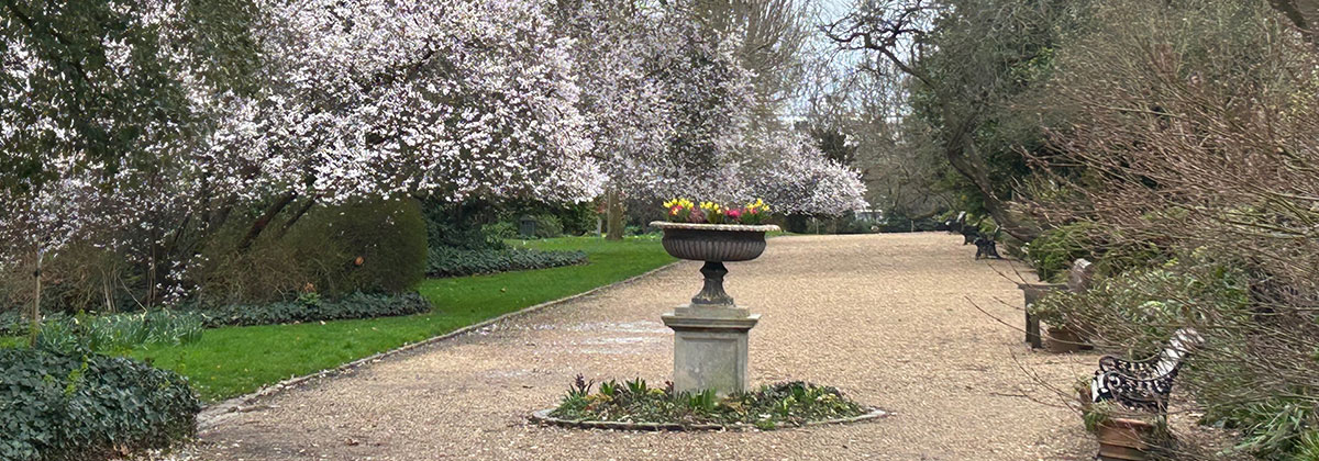 Image for Rarely Accessible Green Spaces Set To Open For London Open Gardens 2026