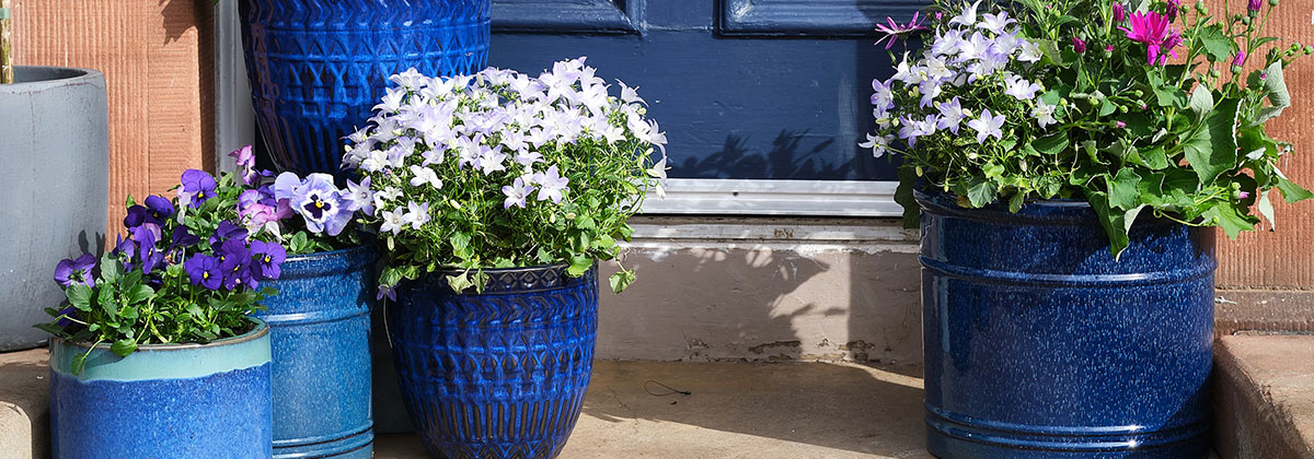 Image for Expert Reveals 8 Super Simple And Low Cost Garden Care Hacks