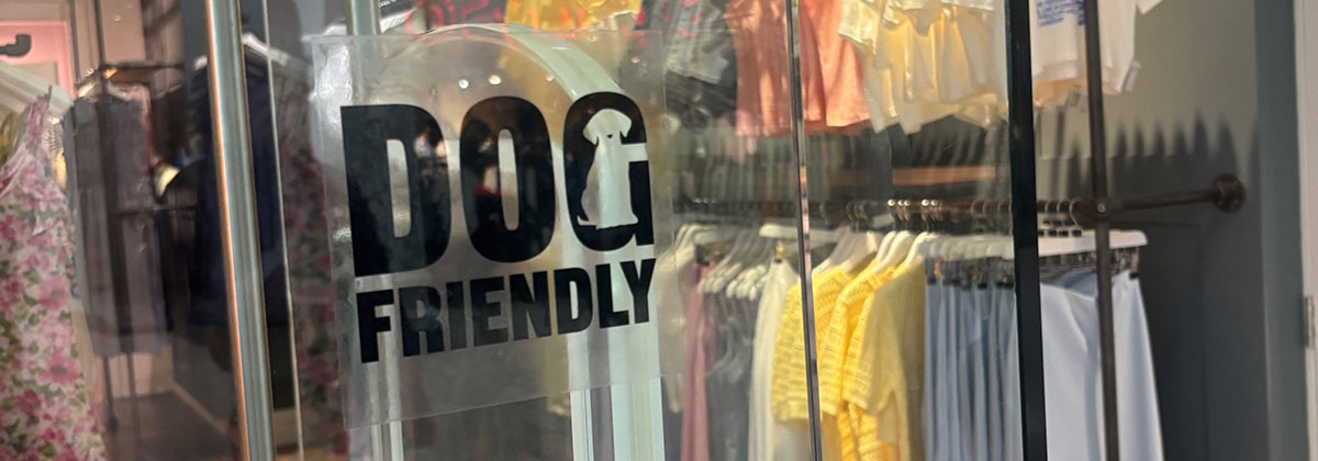 Image for Royal Tunbridge Wells Launches Dog-Friendly Shopping Initiative 