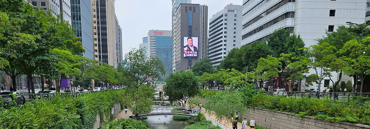 Image for A Special Trip To Seoul