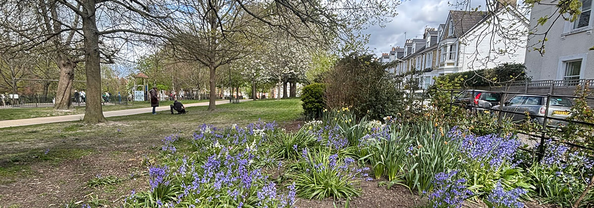 Image for Tunbridge Wells is Blooming