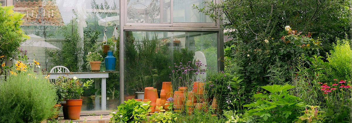Image for Tend It Like Beckham – Top Tips On Growing Your Own Veg