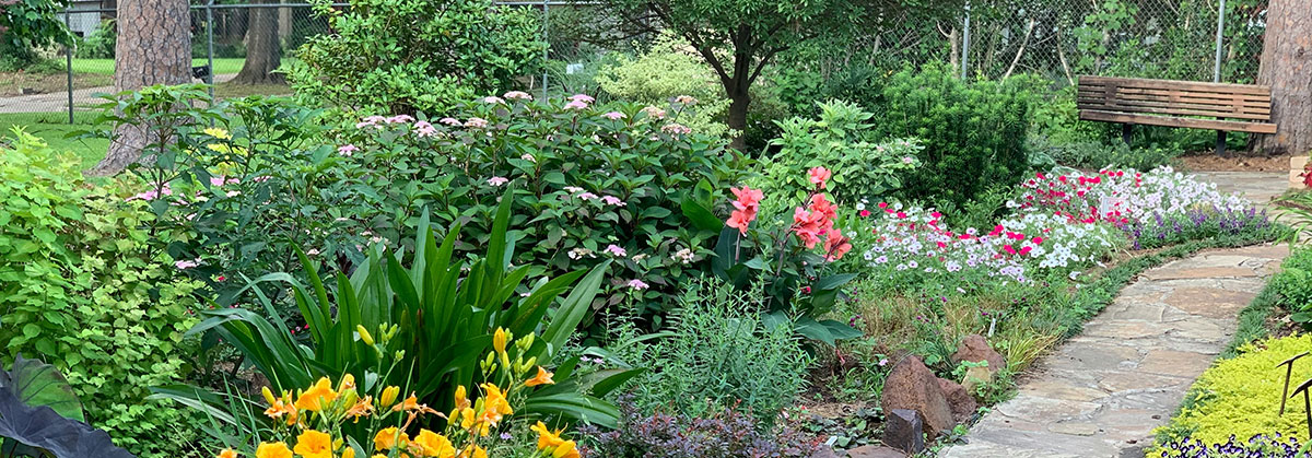 Image for Garden Plants Could Be Reducing Property Value By Up To 20%