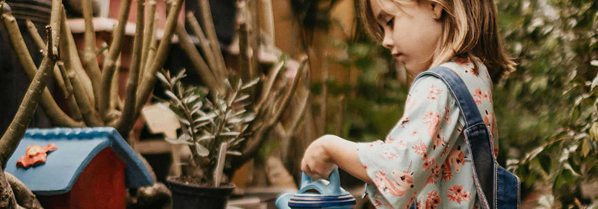 Image for Simple Ways To Start A Garden The Entire Family Will Love
