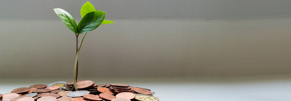 Image for East Sussex Business Owners Have Received £10m Start Up Loans Funding 