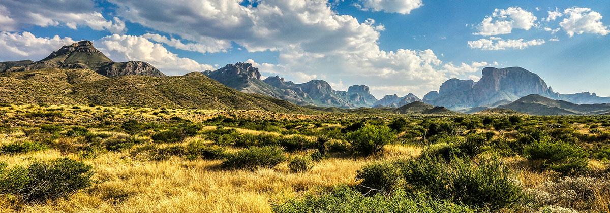 Image for Cowboycore Vacations – 5 US Destinations To Visit