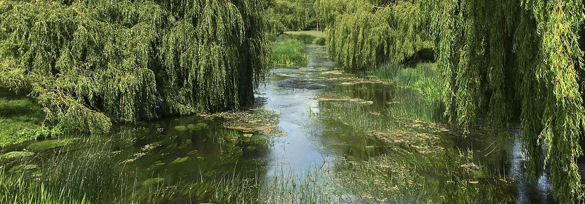 Image for Axing Of Homebuilding Pollution Rules ‘Win For Nature’ Says Wildlife Charity