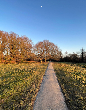 Image for Tunbridge Wells Groups Express Concern Over Possible Sale Of Commons