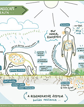 From Soil to Gut: The Missing Link in the Health Conversation
