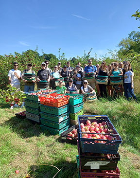 Image for Kent Farmer Donates Orchard For Free To London Charity