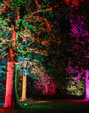 Image for Top Places To See The Christmas Lights In Kent & Sussex in 2025