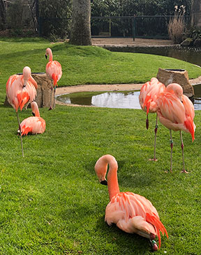 Image for 20 Quirky Family Days Out In Kent, Sussex & London This Easter