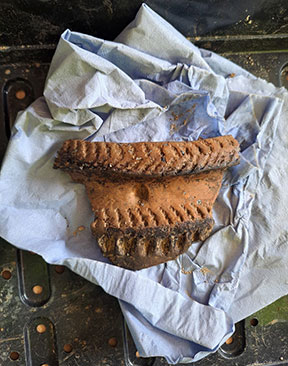 Image for Digging Deep To Find Evidence Of Prehistoric Life In Kent