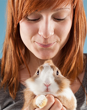 Image for Do You Look Like Your Pet Competition Launched