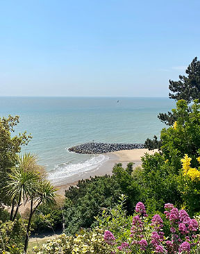 Image for Website Revamped To Encourage More Visitors To The District