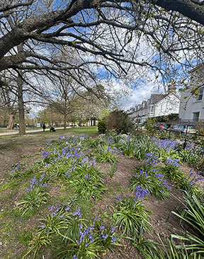 Tunbridge Wells is Blooming
