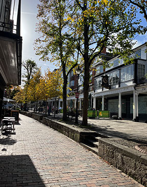 Image for Tunbridge Wells Businesses: Going Forward Into 2024