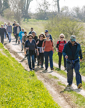 Image for Take Part In Maidstone’s Heart of Kent Walking Festival