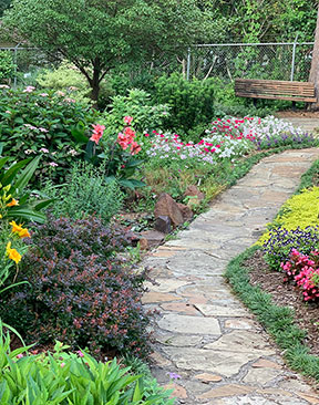 Image for Garden Plants Could Be Reducing Property Value By Up To 20%