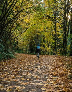 Discovering Hidden Trails in Kent and Sussex