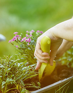 Why Now Is the Perfect Time to Prepare Your Garden for Summer
