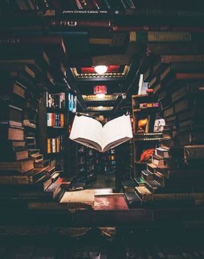 Image for Exploring Kent & Sussex's Literary Connections
