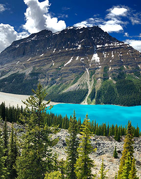Image for The Canadian National Parks Brits Are Flocking To