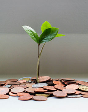 East Sussex Business Owners Have Received £10m Start Up Loans Funding 