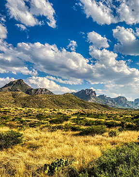 Image for Cowboycore Vacations – 5 US Destinations To Visit