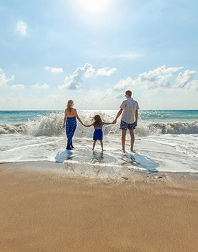 Image for How to See the World with the Family