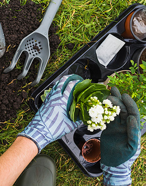 Image for January Gardening Tasks To Help You Keep Your New Year Goals