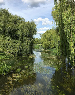 Image for Axing Of Homebuilding Pollution Rules ‘Win For Nature’ Says Wildlife Charity