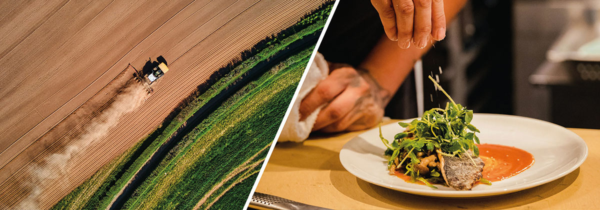 Image for Farm To Fork Dining In Kent, Sussex & London