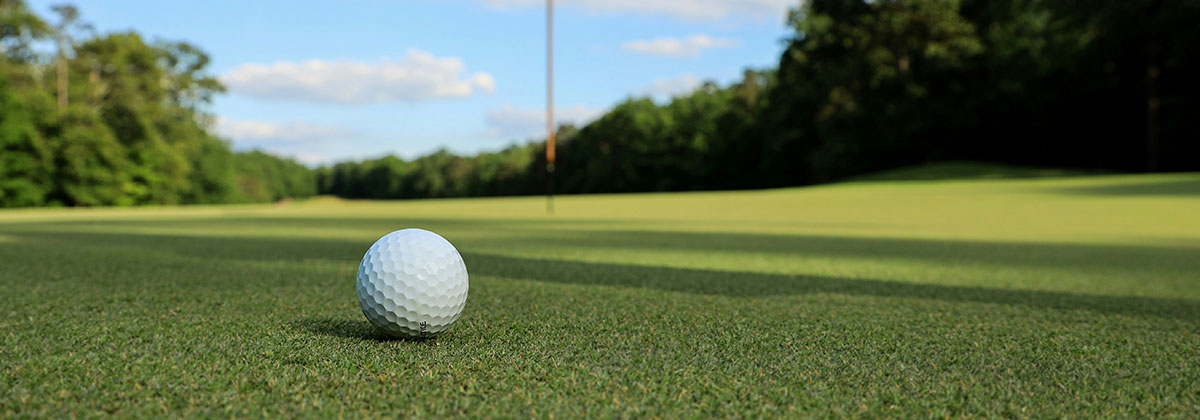 Image for Kent's Anton Du Beke Named Among UK's Top Celebrity Golfers