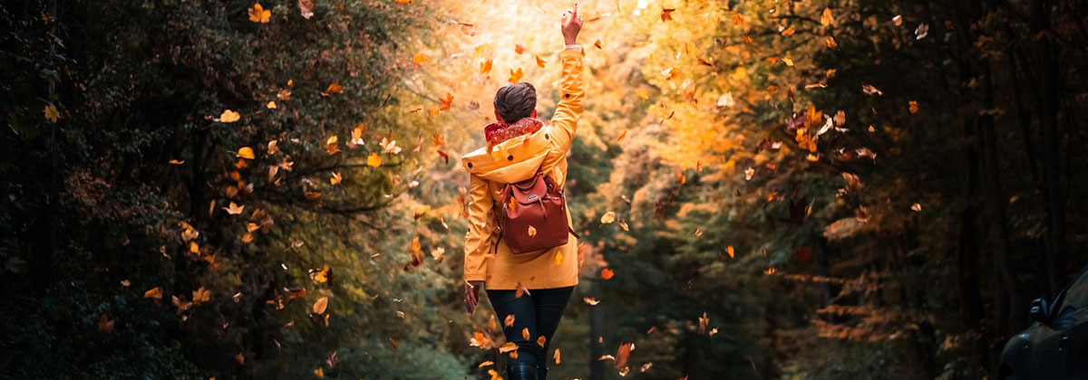 Image for How To Optimise Your Health This Autumn
