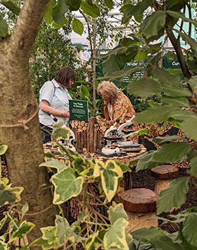 Image for Silver Gilt Success for Hadlow College at RHS Chelsea Flower Show