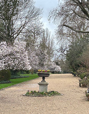 Rarely Accessible Green Spaces Set To Open For London Open Gardens 2026