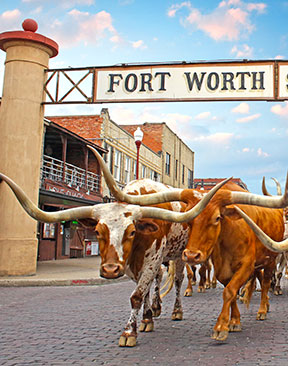 Saddle Up for Adventure in Fort Worth, Texas