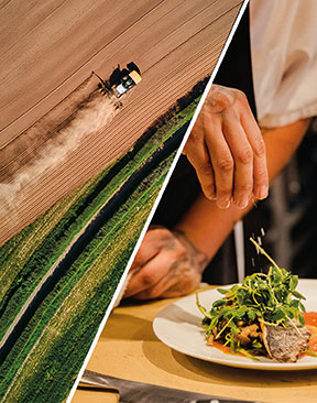 Image for Farm To Fork Dining In Kent, Sussex & London