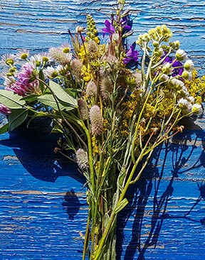 Image for How To Forage Your Own Bouquet For Mother’s Day