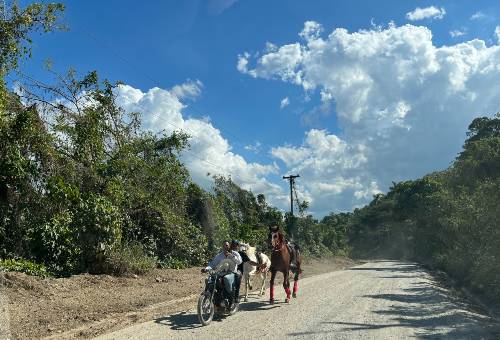 the Road to Cape Canos